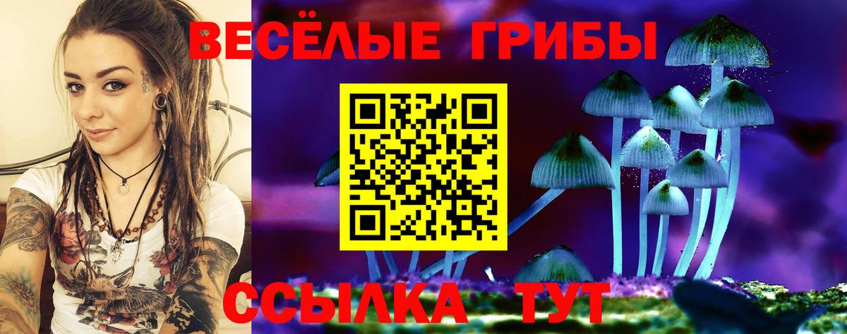 Галлюциногенные грибы GOLDEN TEACHER  Вход с VPN  Алейск 